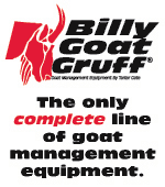 Billy Goat Gruff