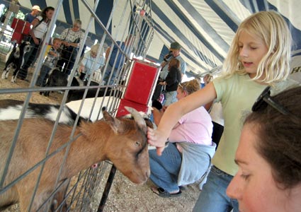 The Windsor Fair