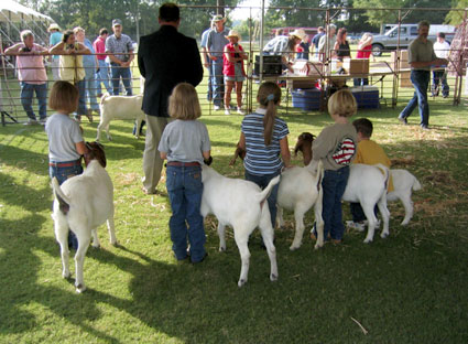 International Goat Days Festival: Day Two