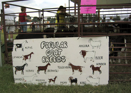 goat breeds