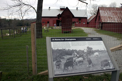 Carl Sandburg Home