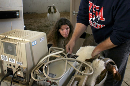 Auburn University Vet School