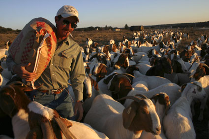 Marvin Shurley Ranch