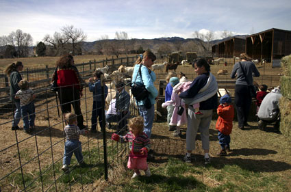 Haystack Mountain Dairy