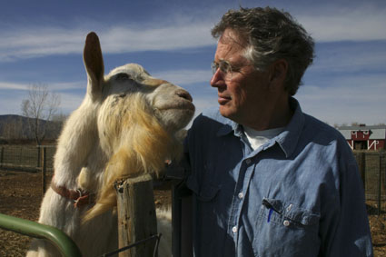 Haystack Mountain Dairy