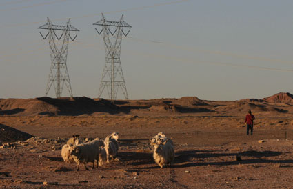 Navajo Goatherd