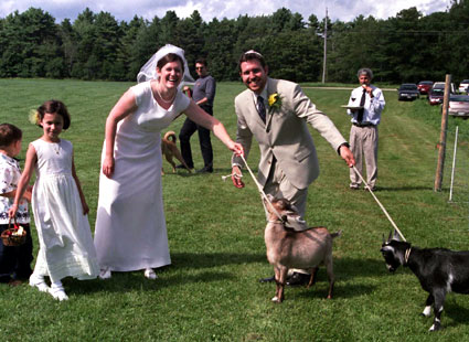 A Wedding With Goats