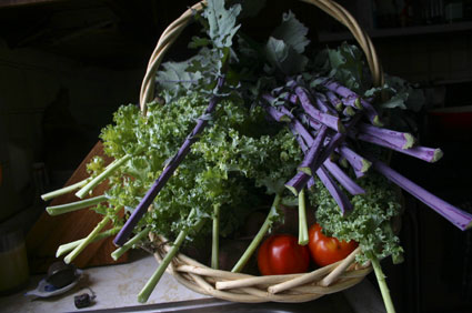 bountiful garden